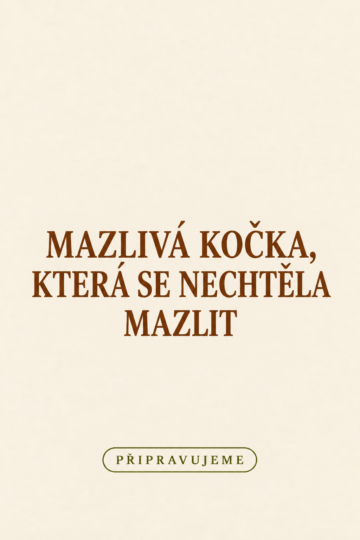 Připravujeme: Mazlivá kočka, která se nechtěla mazlit
